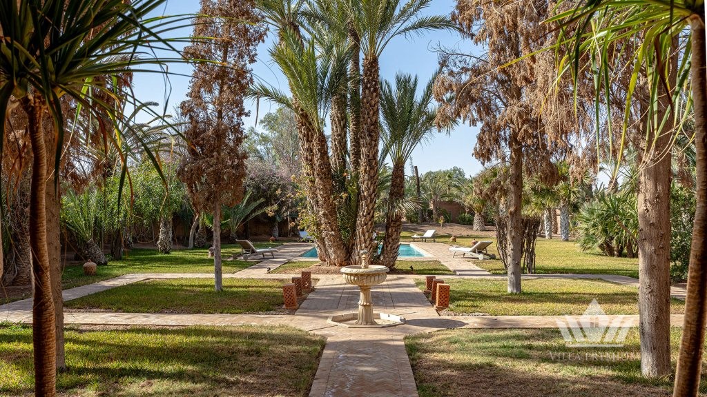 Villa les Palmiers 3