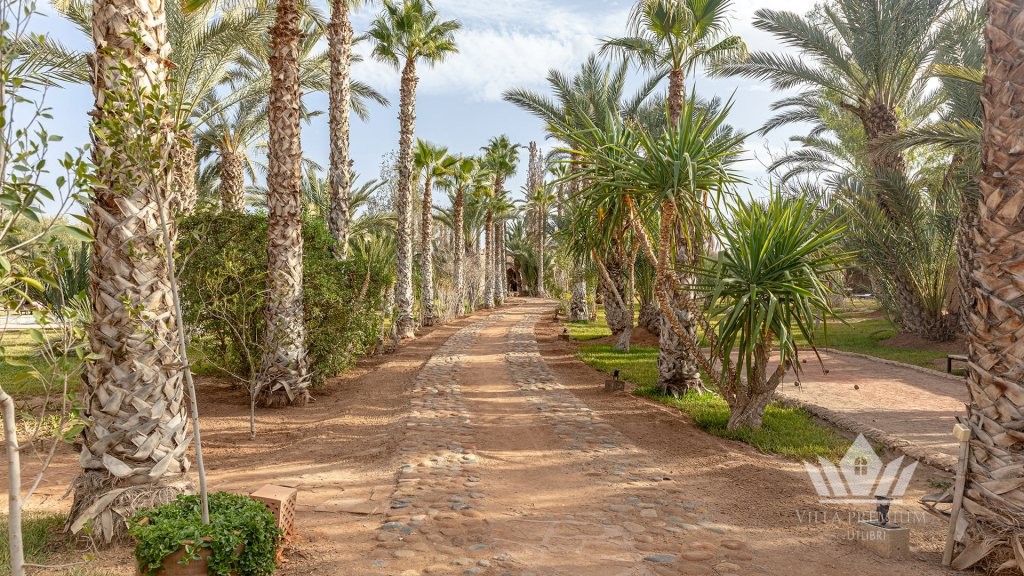 Villa les Palmiers 2