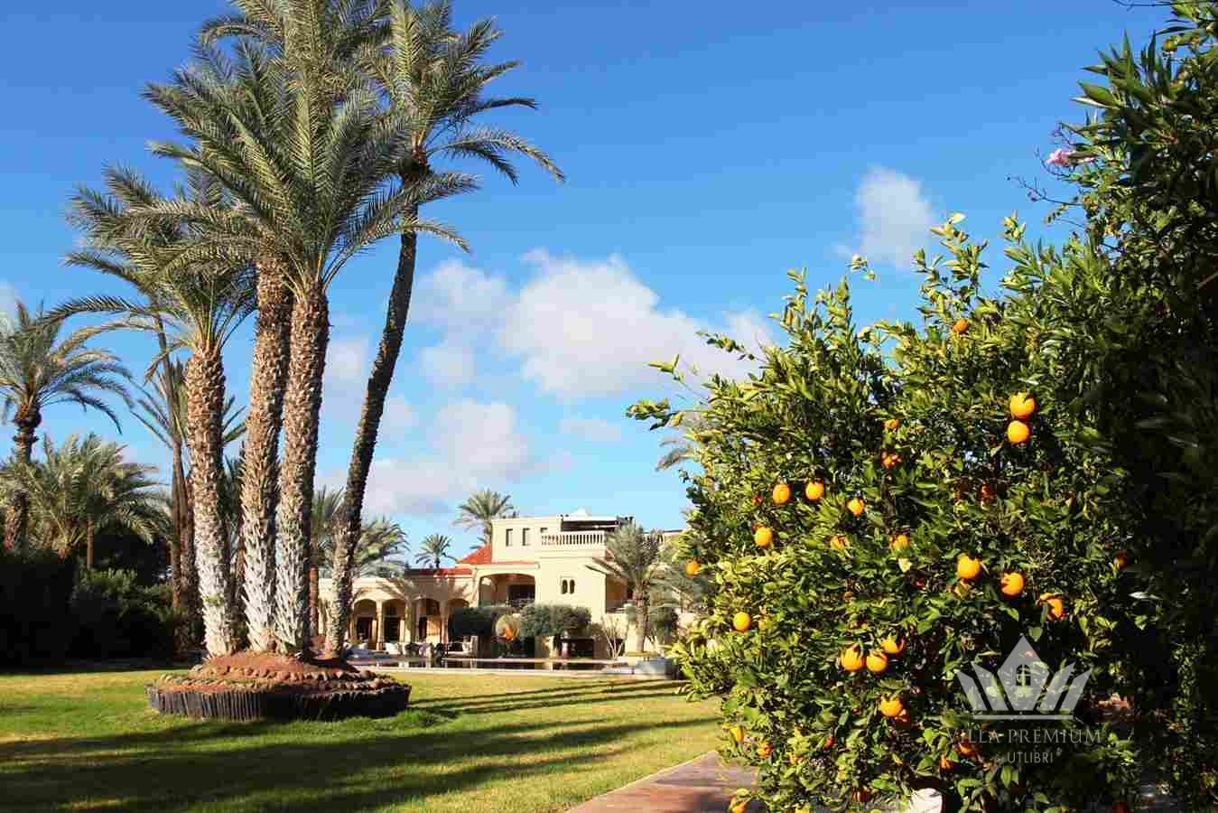 Villa Anna  1
