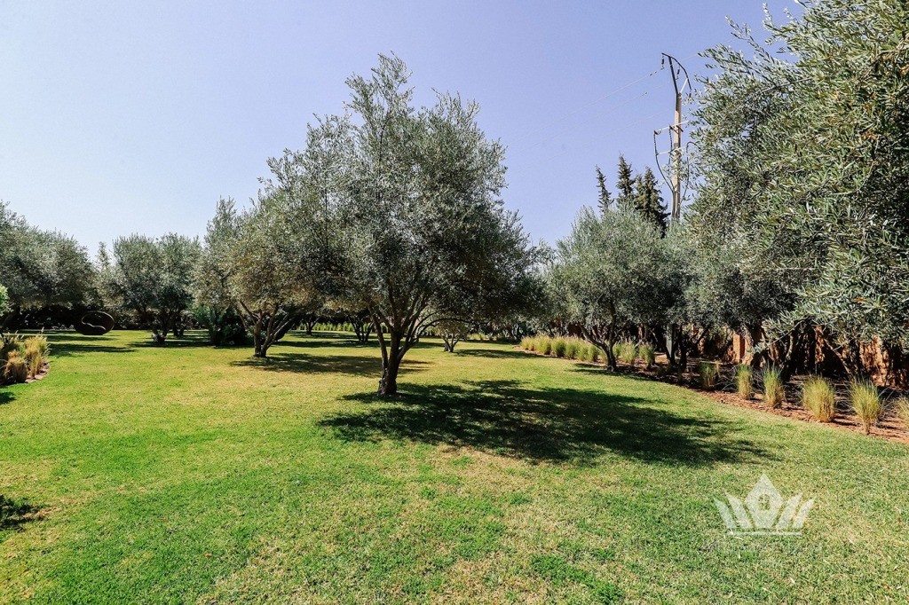 Villa Zina 5