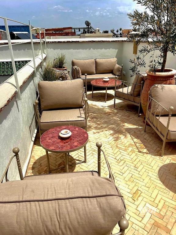 Riad Monkey 3