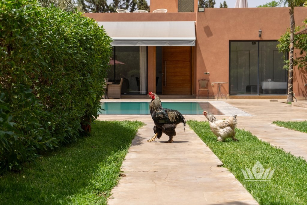 Villa Afifa 4