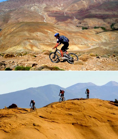 Mountain biking